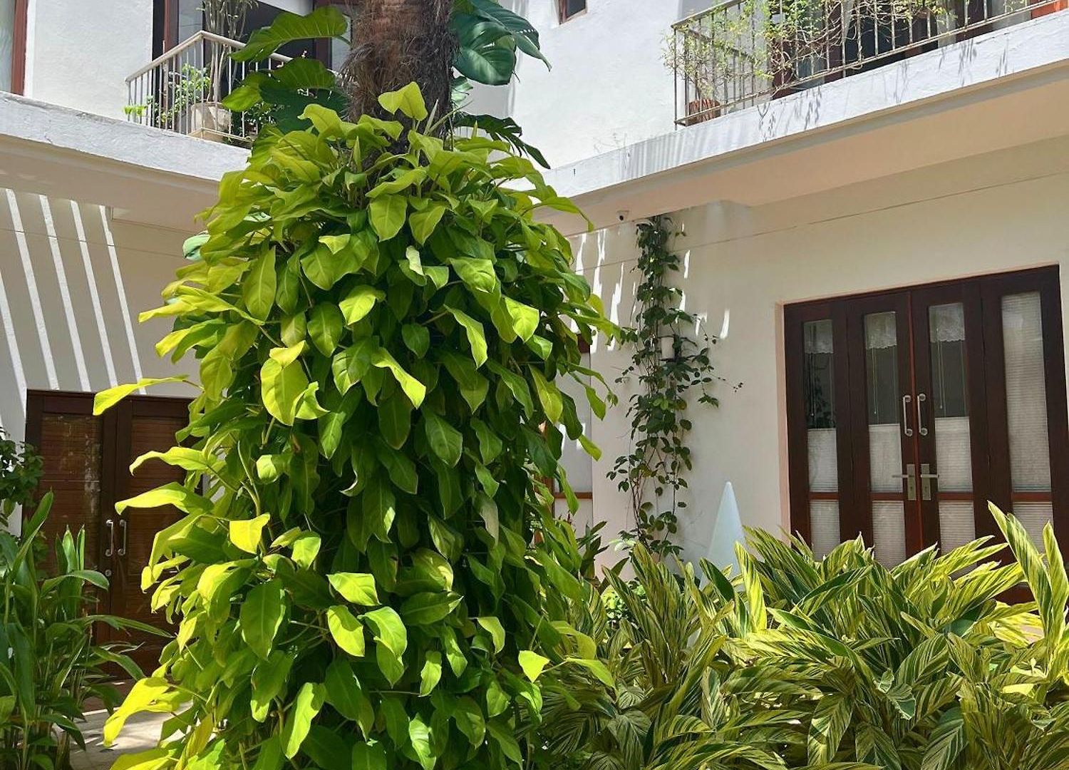 Duplex Con Piscina Privada En Centro Histórico Apartamento *