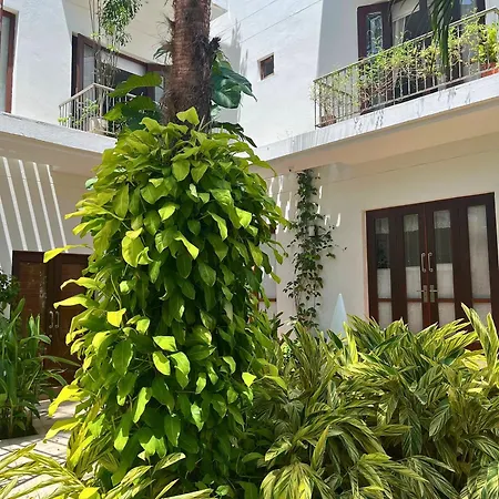 Duplex Con Piscina Privada En Centro Histórico Apartamento *
