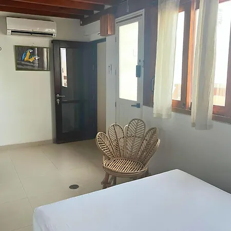 Duplex Con Piscina Privada En Centro Histórico Cartagena