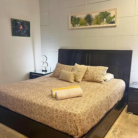 Duplex Con Piscina Privada En Centro Histórico *
