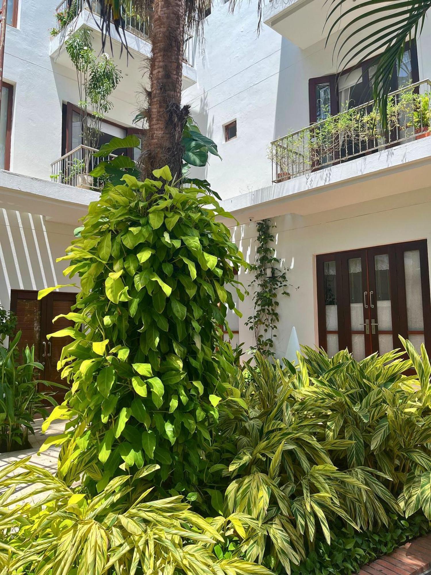 Duplex Con Piscina Privada En Centro Histórico Apartamento *